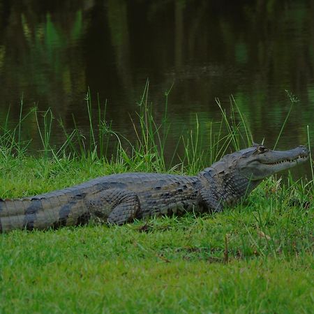 Hotel Reserva De Piedemonte Villavicencio Dış mekan fotoğraf