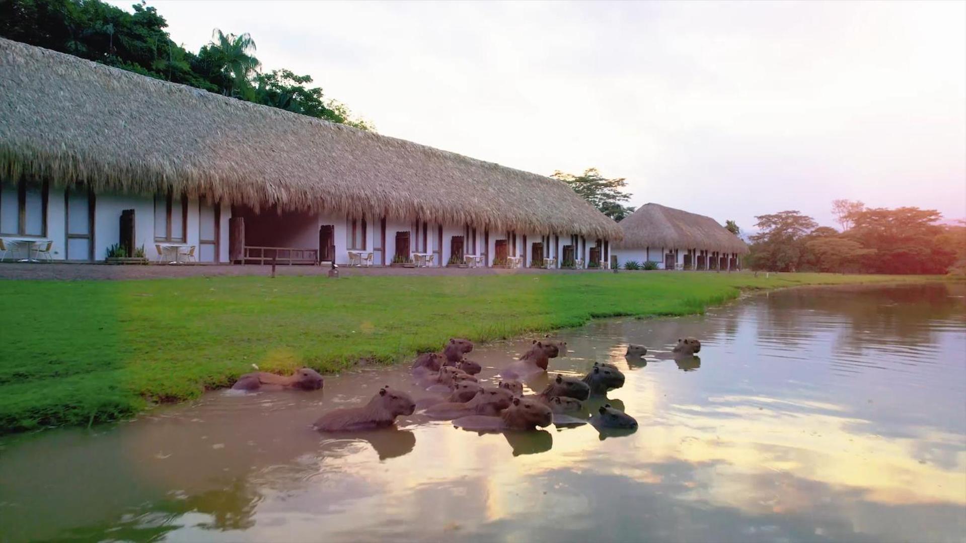 Hotel Reserva De Piedemonte Villavicencio Dış mekan fotoğraf