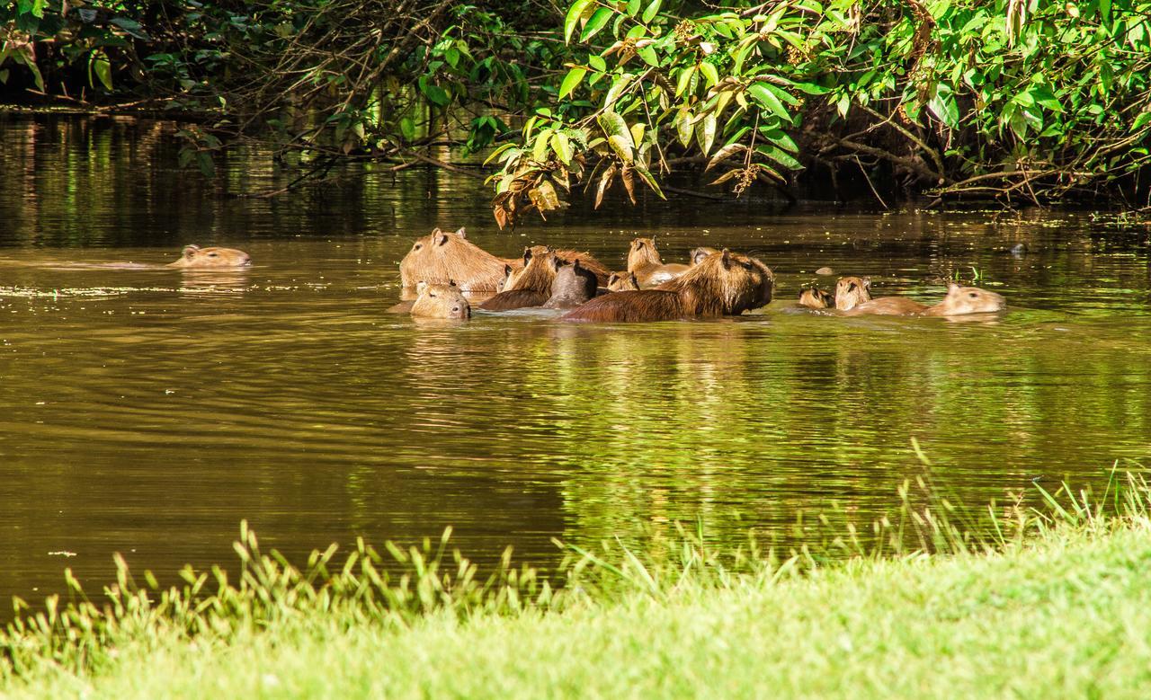 Hotel Reserva De Piedemonte Villavicencio Dış mekan fotoğraf